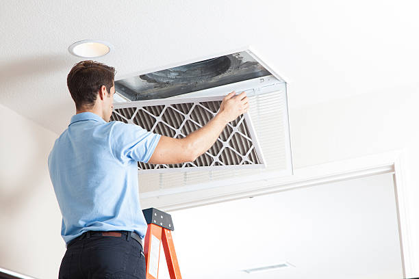 Best Air Filters and Purifiers in Webberville, MI